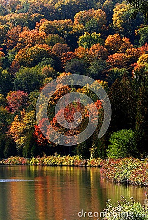 Scenic Autumn Landscape Stock Photo