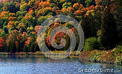Scenic Autumn landscape in Allegheny Stock Photo