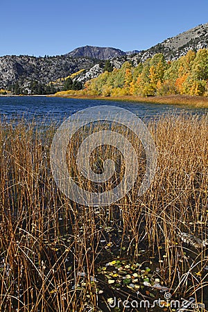 Scenic autumn landscape in June Lake, California Stock Photo