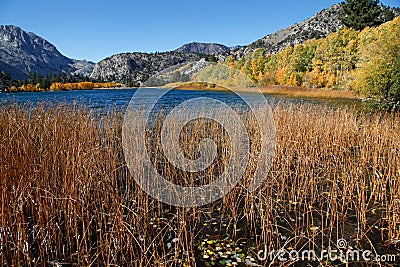 Scenic autumn landscape in June Lake Loop, California Stock Photo