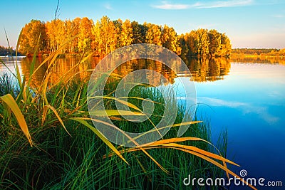 Scenic autumn nature. Autumn landscape on lake shore. Beautiful view on yellow trees Stock Photo