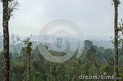Natural scenic beauty of ooty Stock Photo