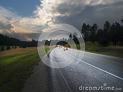 Scenic Black Hills Sunset with winding roads and motorcyclists Stock Photo