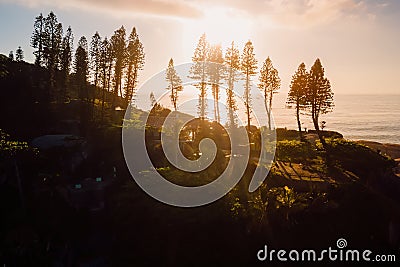 Scenic coastline with silhouette of trees and sea at warm sunrise in Brazil. Aerial view Stock Photo