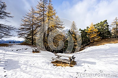 Scenic cold winter landscape with snow and trees and bench Stock Photo