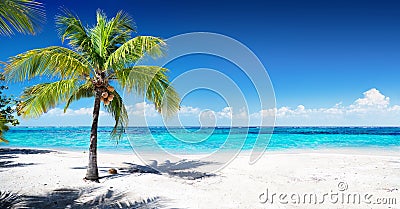 Scenic Coral Beach Stock Photo