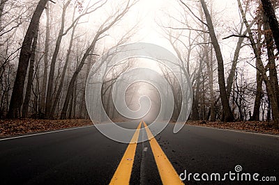 Scenic Country Road on a Foggy Winter Morning Stock Photo