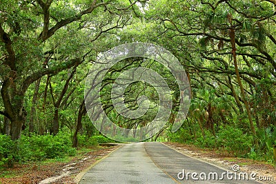 Scenic Countryside Road Stock Photo