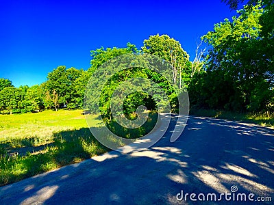 Scenic Dirt Road Stock Photo