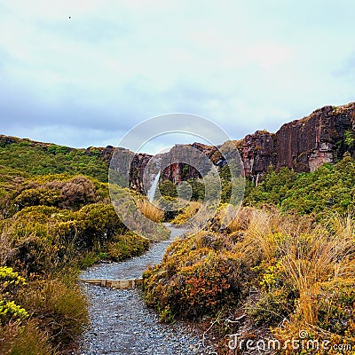 Scenic display of the Taranaki Falls track in New Zealand Stock Photo