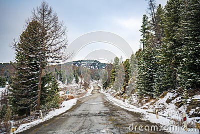 Scenic early spring view with snowy dirt road through the pass, green larch trees, snow and forest on the slopes against Stock Photo