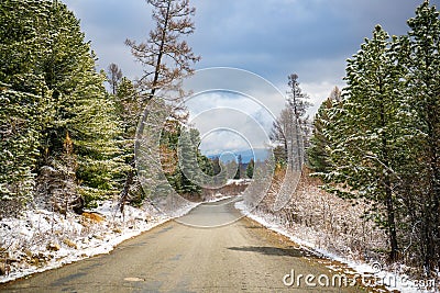 Scenic early spring view with snowy dirt road through the pass, green larch trees, snow and forest on the slopes against Stock Photo