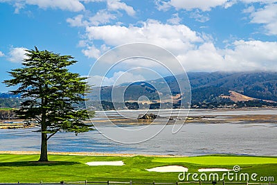 Scenic green coastline in Monterey California with a cloudscape in the background Stock Photo