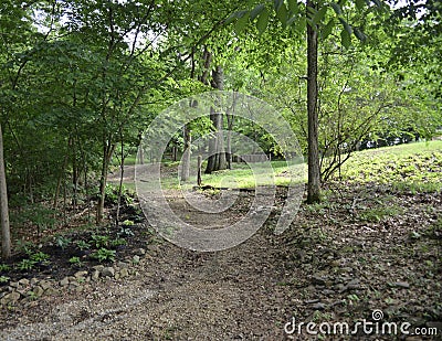 Scenic Hiking, Camping and Walking Nature Trail Stock Photo