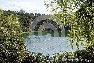 Scenic Lake and Woodlands at the Blue Pool, Dorset, England Stock Photo