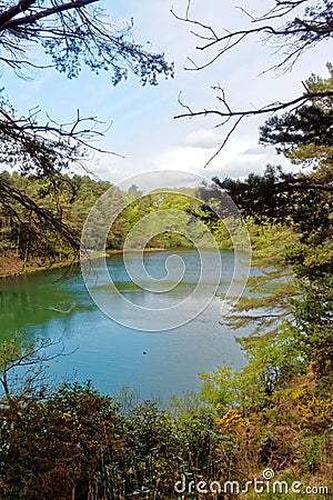 Scenic Lake and Woodlands at the Blue Pool, Dorset, England Stock Photo