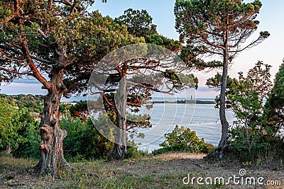 Scenic landscape of Black Sea coast by Bolshoy Utrish village, Anapa, Russia. Wave splashing on pebble beach at sunset Stock Photo