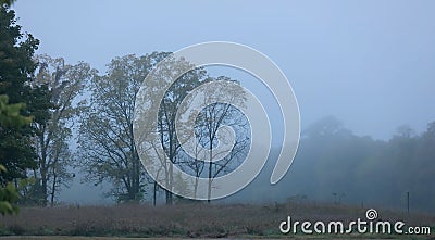 Scenic landscape caught in morning fog Stock Photo