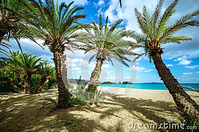 Scenic landscape of palm trees, turquoise water and tropical beach, Vai, Crete. Stock Photo