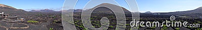 Panorama of Wine-growing in La Geria on the island of Lanzarote, Canary Islands Stock Photo