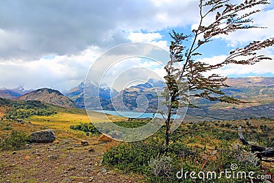 Scenic Landscape In Patagonia Stock Photo