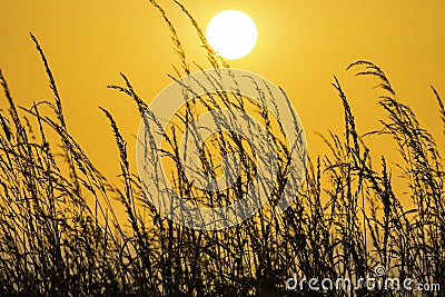 Scenic landscape of Pembrokeshire coast, Uk Stock Photo