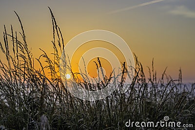 Scenic landscape of Pembrokeshire coast, Uk Stock Photo