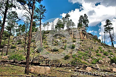 Apache Sitgreaves National Forests, Arizona, United States Stock Photo