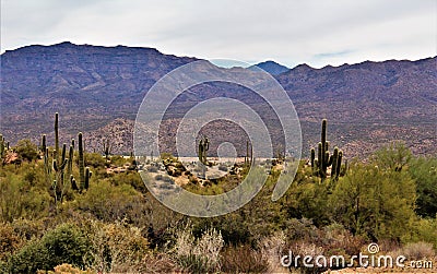 Bartlett Lake reservoir, Maricopa County, State of Arizona, United States scenic landscape view Stock Photo