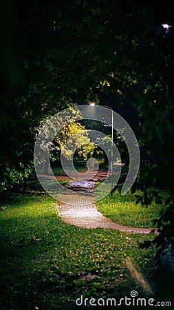 Scenic nighttime pathway winds through a mysterious forest park, illuminated by lights Stock Photo