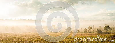 Scenic panoramic landscape. grassland. Stock Photo