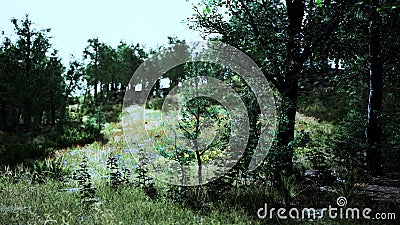 Scenic panoramic view of idyllic rolling hills landscape with blooming meadows Stock Photo