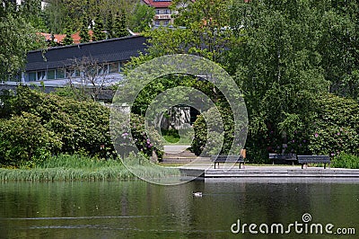 Scenic Park in the Town of Braunlage, Lower Saxony Editorial Stock Photo
