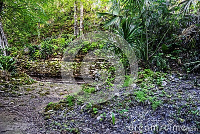 Scenic pathway lined by an ancient stone wall in a jungle in Cozumel, Mexico Editorial Stock Photo