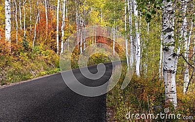 Scenic Pine canyon drive in Wasatch mountain state park, Utah Stock Photo