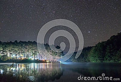 Scenic pine forest light shine on reservoir at dawn Stock Photo
