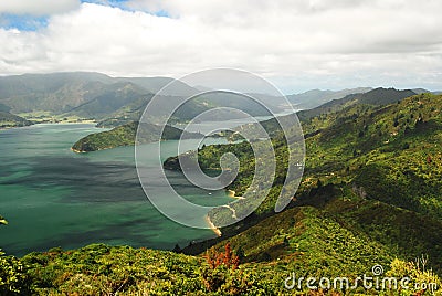 Scenic Queen Charlotte sound from a hill top Stock Photo