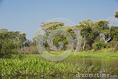 Scenic River Passage in North Pantanal, Brazil Stock Photo