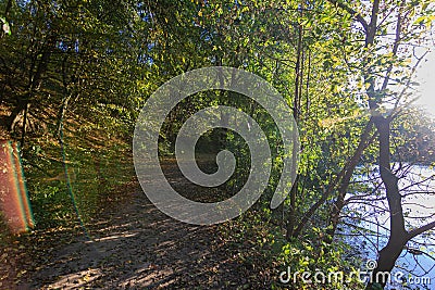 Scenic road near the river with sun rays Stock Photo