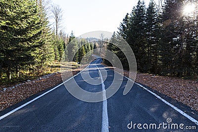 Road Through the Forest Through the Autumn Landscape Stock Photo