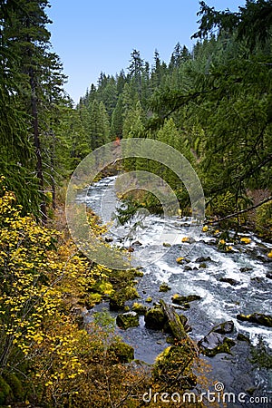 Scenic Rogue River - Oregon Stock Photo