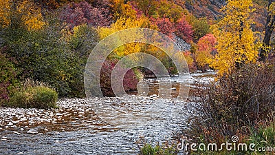 Scenic South Fork Ogden river in Utah Stock Photo