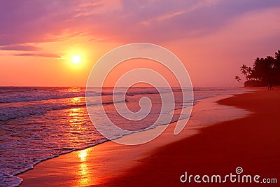 Scenic tropical beach with palm trees at sunset background, Sri Lanka Stock Photo