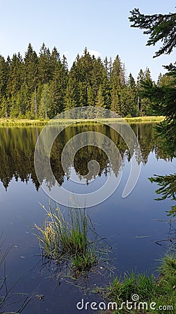 Scenic vertical shot of the lake in the forest of Fichtelberg, Germany Stock Photo