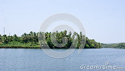 Scenic view of backwaters of Kerala with coconut trees on it's banks Stock Photo