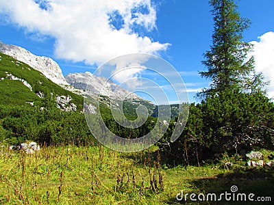 Scenic view of beautiful alpine landscepe Stock Photo