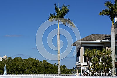 Scenic view of Bonita Springs with palm trees and raised house Stock Photo