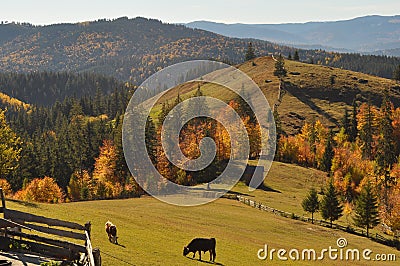 Scenic view in Bucovina Stock Photo