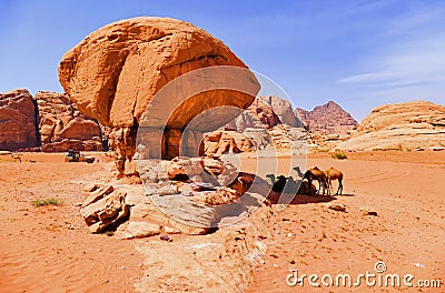 Scenic View Caravan of Camels Resting in the Shade of Mushroom Shaped Rock in Wadi Rum Desert, Jordan Stock Photo