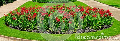 Scenic View of Colourful Flowerbeds, a Lush Green Lawn. Wide photo Stock Photo